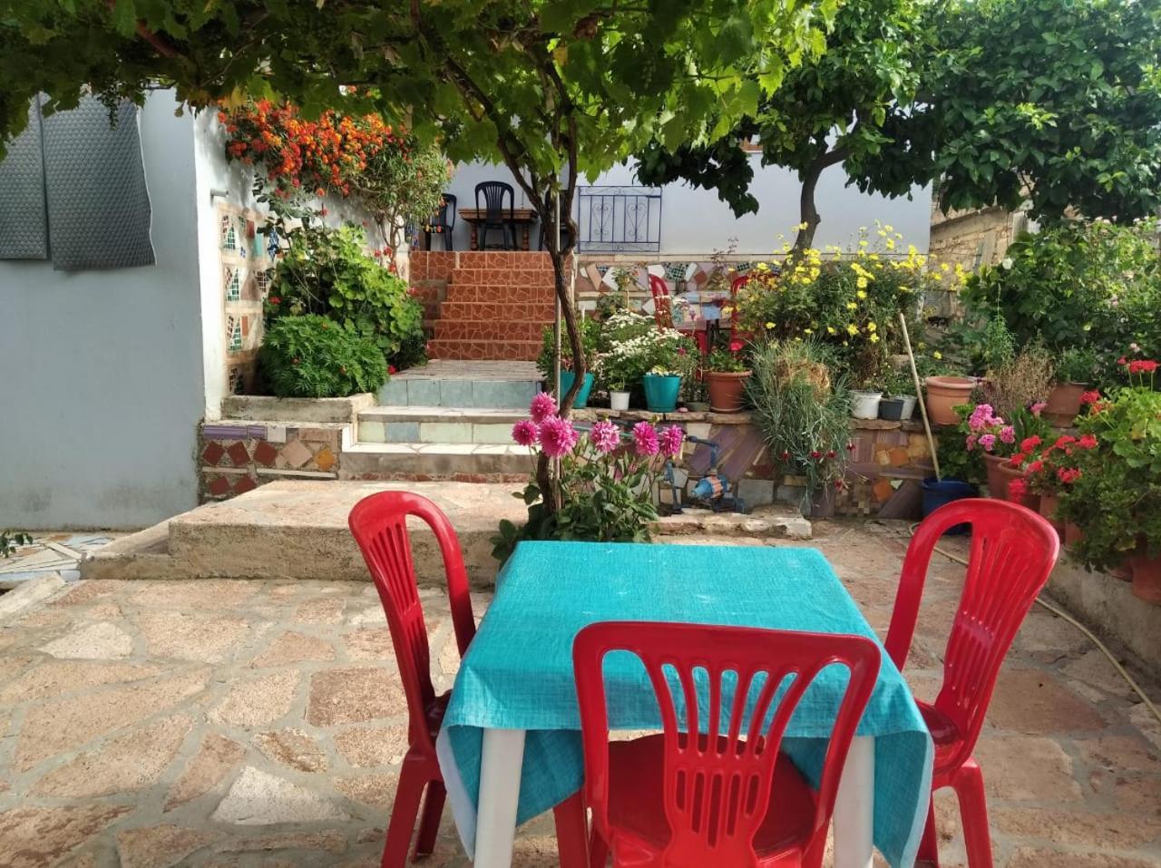 סרנדה Hako Apartments מראה חיצוני תמונה