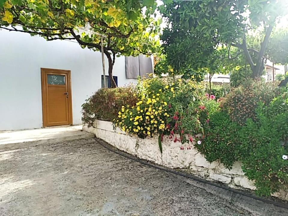 סרנדה Hako Apartments מראה חיצוני תמונה