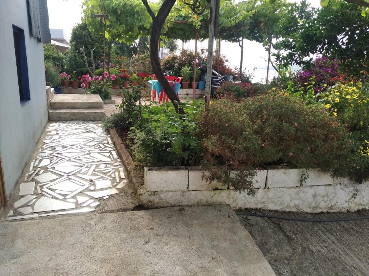 סרנדה Hako Apartments מראה חיצוני תמונה